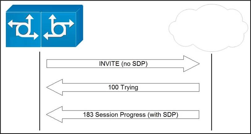 300-815 Exam Score