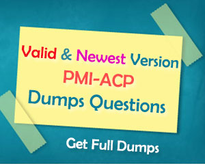 PMI Agile Certified Practitioner Exam Real PMI-ACP Dumps – Valid IT Sns-Brigh10