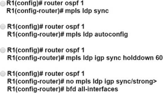 CCNP Service Provider Certification 350-501 SPCOR Dumps V9.02 – Valid Sns-Brigh10