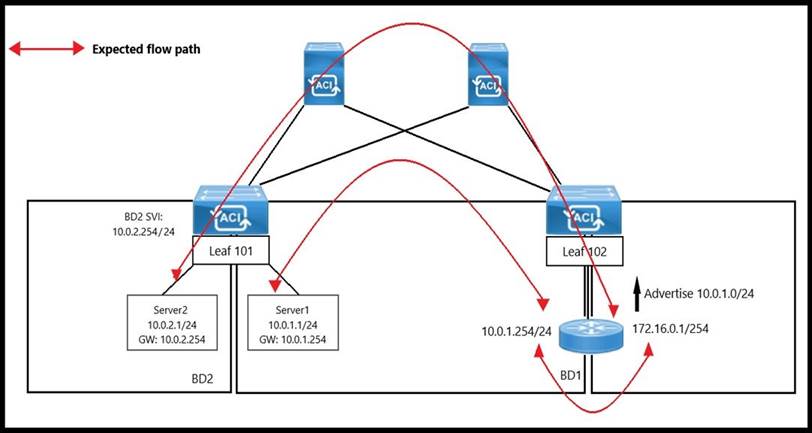 300-620 Reliable Test Preparation