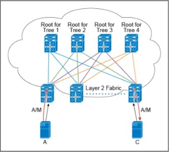 NSE8_812 Examengine