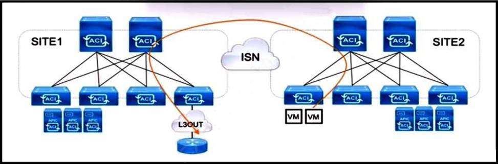 ISO-31000-CLA Authorized Pdf